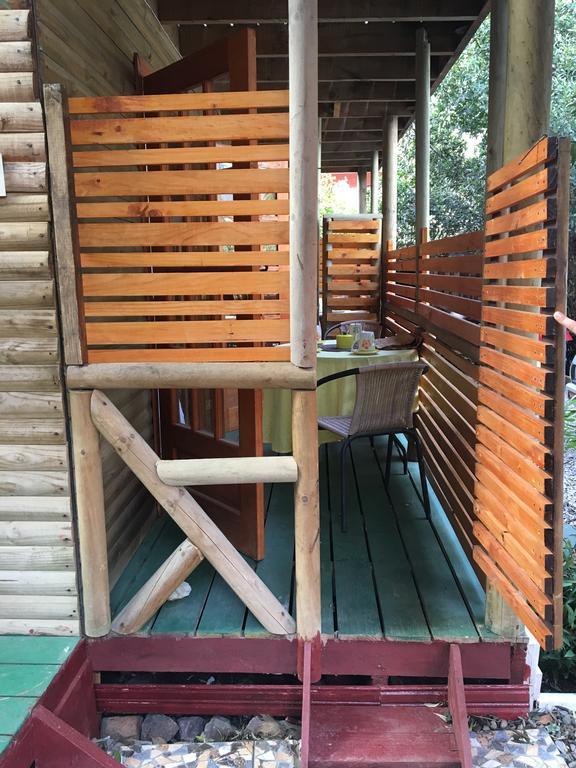 La Maison Des Fous Papudo Dış mekan fotoğraf